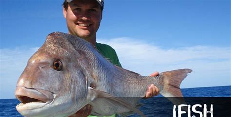 i fish|Ifish Hunting .